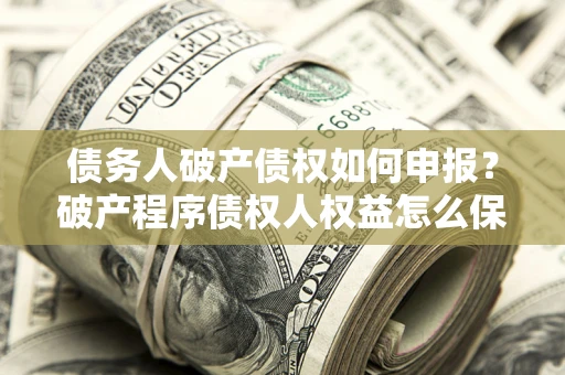 北京债务人破产债权如何申报？破产程序债权人权益怎么保障？