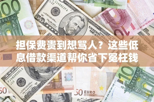 北京担保费贵到想骂人？这些低息借款渠道帮你省下冤枉钱