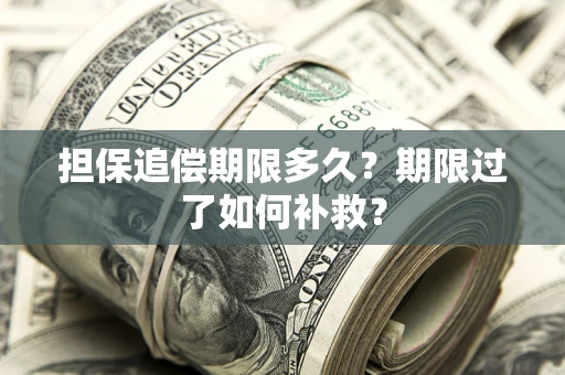 北京担保追偿期限多久？期限过了如何补救？