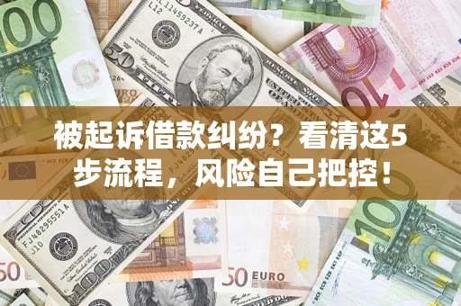 北京被起诉借款纠纷？看清这5步流程，风险自己把控！